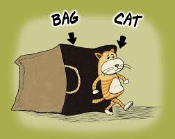 Cat-Bag